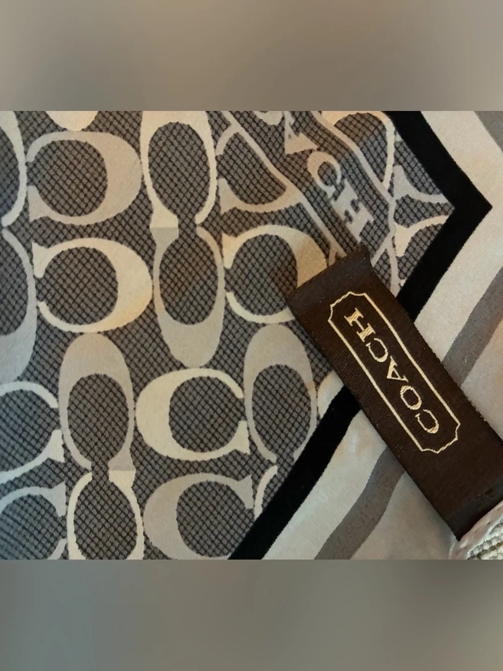 Coach Woman’s Gray & Black Patterned Signature-Style Silk Scarf